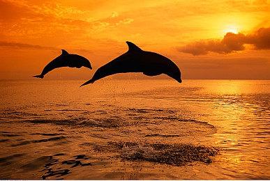 《莱莎的炼金工房3》开发完成 官方发布庆贺视频